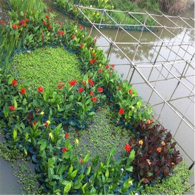 生態(tài)浮島 水生植物種植浮床 水質(zhì)凈化人工 綠化浮盆景觀(guān)